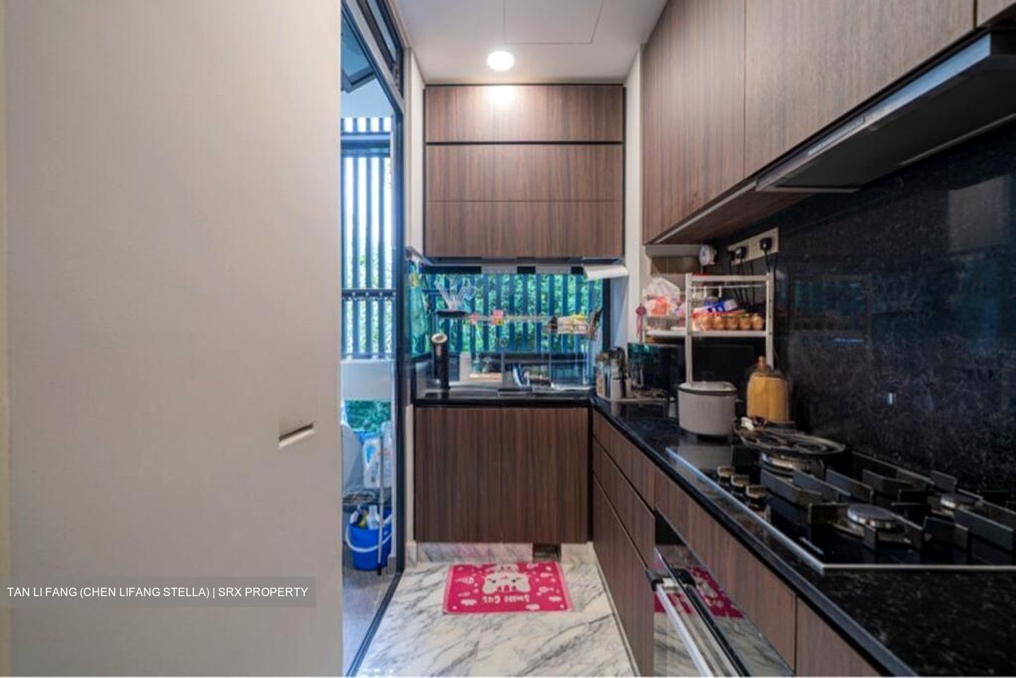 Van Holland (D10), Condominium #521131271